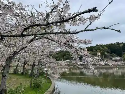 厳島神社 谷弁財天(千葉県)