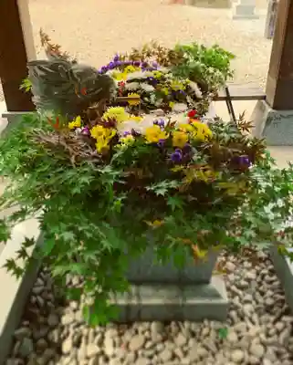 滑川神社 - 仕事と子どもの守り神の手水舎