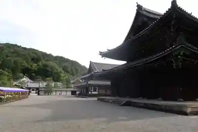 御寺 泉涌寺のその他建物