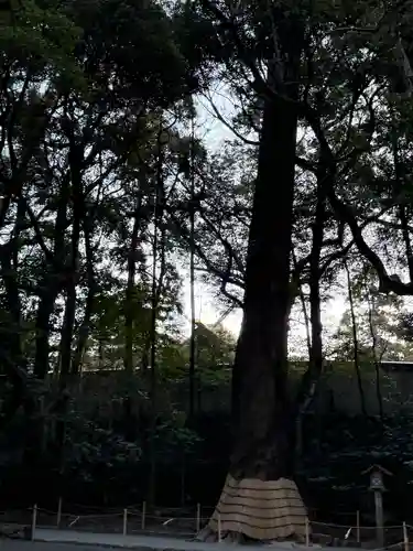 伊勢神宮内宮（皇大神宮）(三重県)