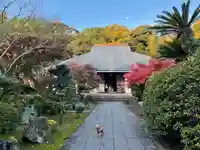 伊勢の国 四天王寺の本殿・本堂