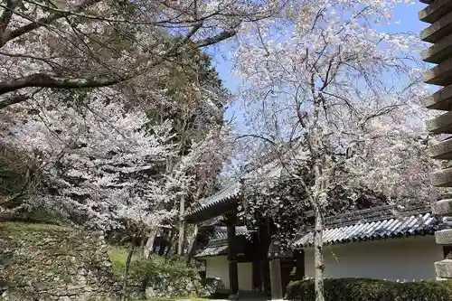 西教寺(滋賀県)