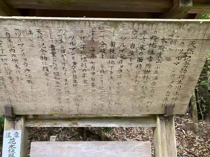 丹生川上神社(中社)(奈良県)