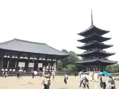 興福寺 東金堂の建物その他