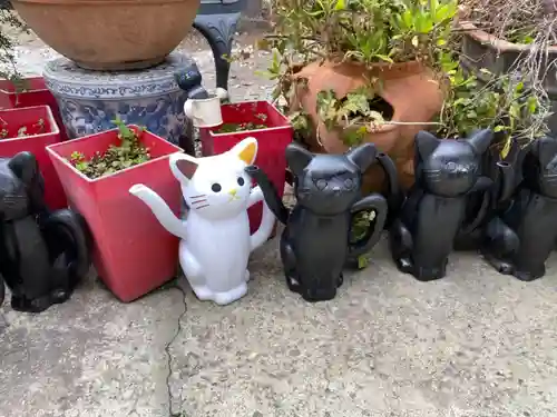 今戸神社の狛犬