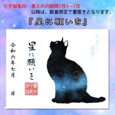 星に願いを
