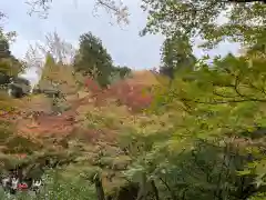 東福禅寺（東福寺）(京都府)