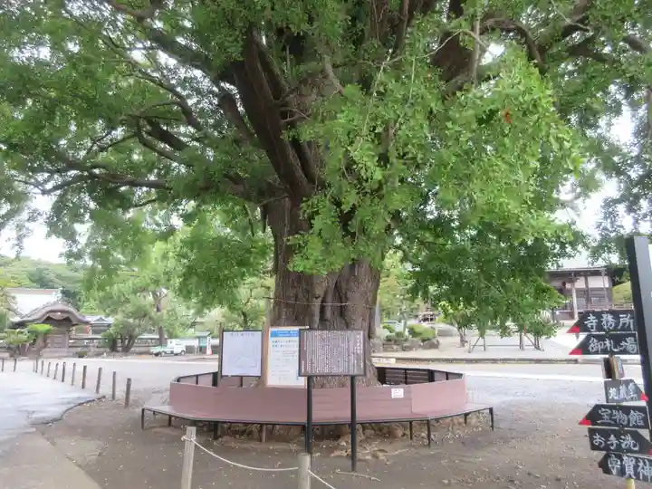 時宗総本山 遊行寺(正式:清浄光寺)(神奈川県)