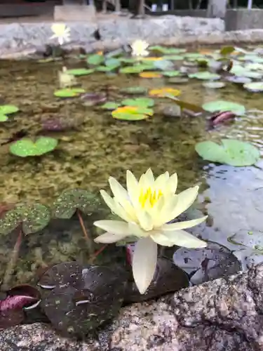 水間寺の自然