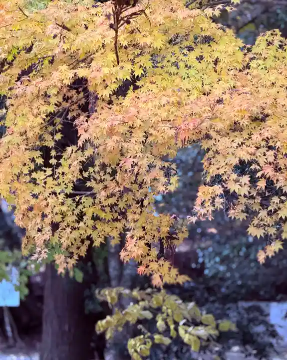 明通寺(福井県)