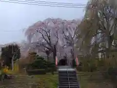 身照寺(岩手県)