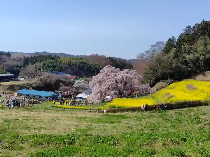 瀧桜神明宮(福島県)