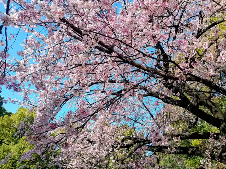 花園稲荷神社(東京都)
