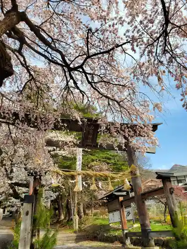 山家神社の自然