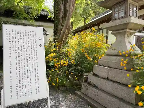 松尾大社(京都府)