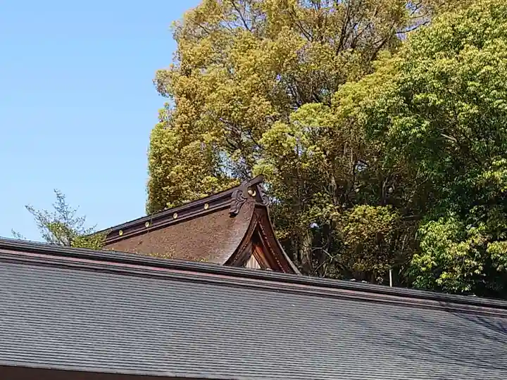 尾張大國霊神社(国府宮)の本殿・本堂