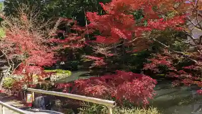 くろ谷 金戒光明寺(京都府)