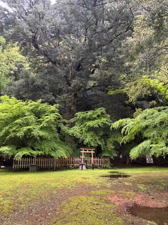金剛院(京都府)