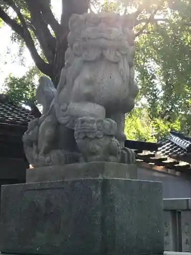 小杉神社の狛犬