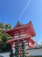 金泉寺の山門