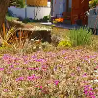 寿量山 速成寺の自然