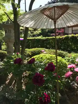 宝徳寺(群馬県)