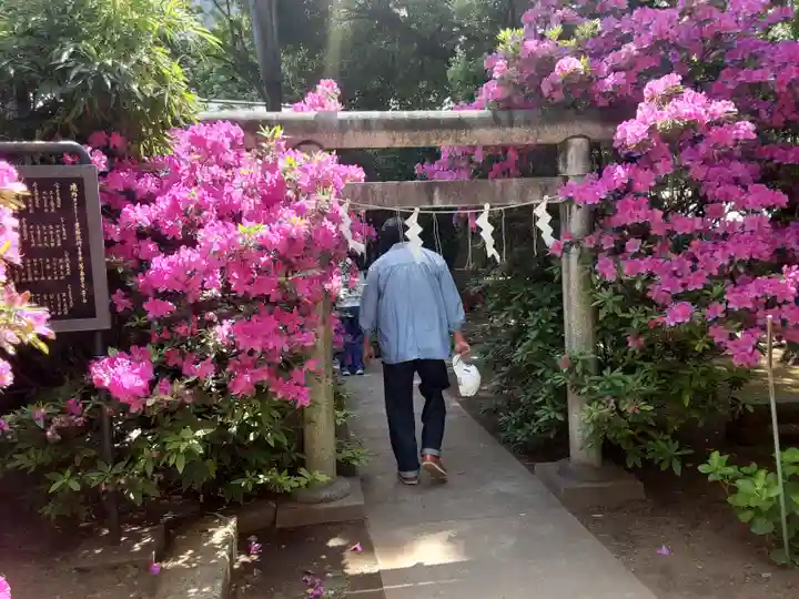 鳩森八幡神社(東京都)