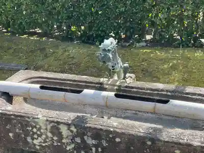 菩提院の手水舎