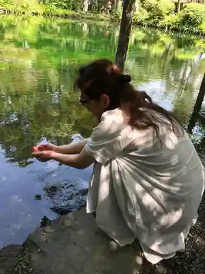 富士山本宮浅間大社(静岡県)