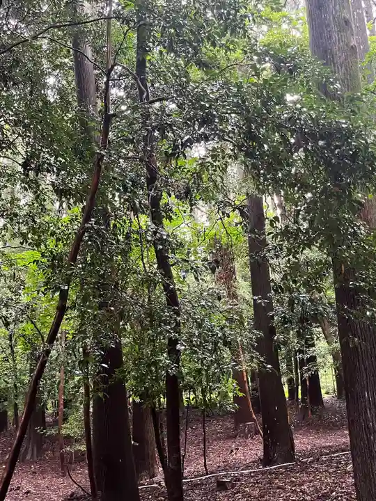 霧島神宮(鹿児島県)