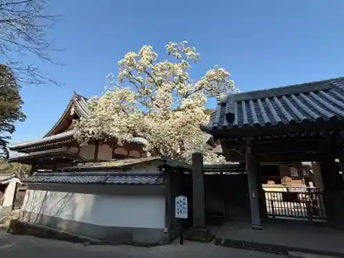 円覚寺の{uncategorized: "未分類", other: "その他", undefined: "問題あり", building: "その他建物", grave: "お墓", sacred_gate: "鳥居", guardian: "狛犬", statue: "像", buddha: "仏像", history: "歴史", nature: "自然", garden: "庭園", animal: "動物", pagoda: "塔", temizu: "手水舎", mountain_gate: "山門・神門", sanctuary: "本殿・本堂", subordinate: "末社・摂社", art: "芸術", scenery: "景色", jizo: "地蔵", ema: "絵馬", goshuin: "御朱印", omikuji: "おみくじ", items: "授与品その他", amulet: "お守り", goshuincho: "御朱印帳", eats: "食事", festival: "お祭り", votive_dance: "神楽", shichigosan: "七五三参", wedding: "結婚式", experience: "体験その他", initially: "初詣", around: "周辺", anti_infection: "感染症対策"}
