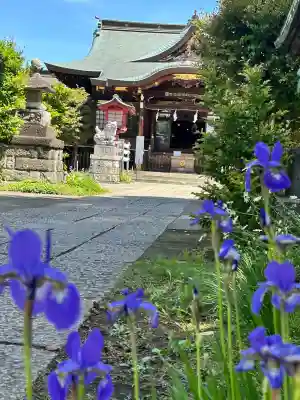 鷺宮八幡神社(東京都)