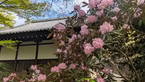 圓光寺(京都府)