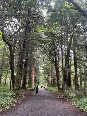 戸隠神社奥社(長野県)