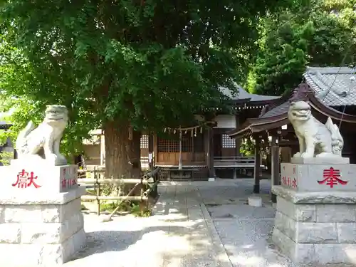 印内八坂神社の狛犬