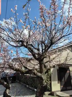 孫太郎神社(栃木県)