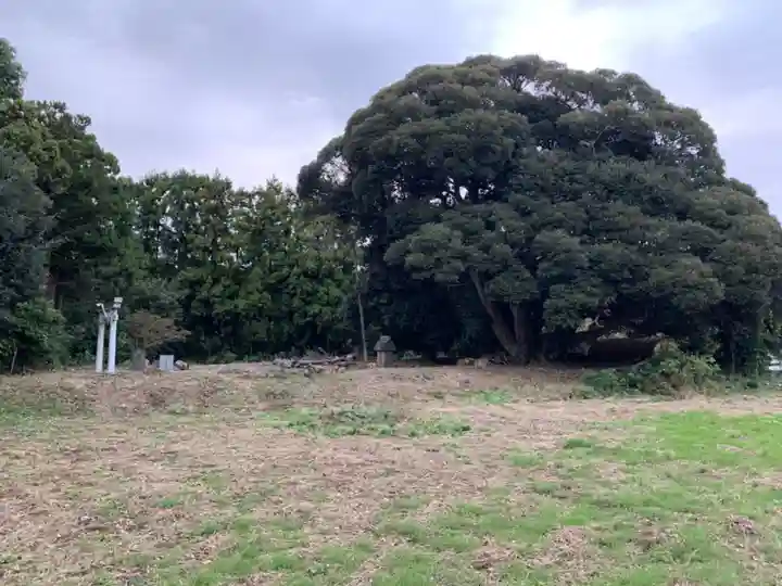 一夜山太神(千葉県)