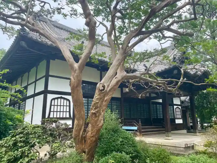 光明寺(宮城県)