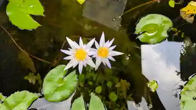 行願寺（革堂）(京都府)