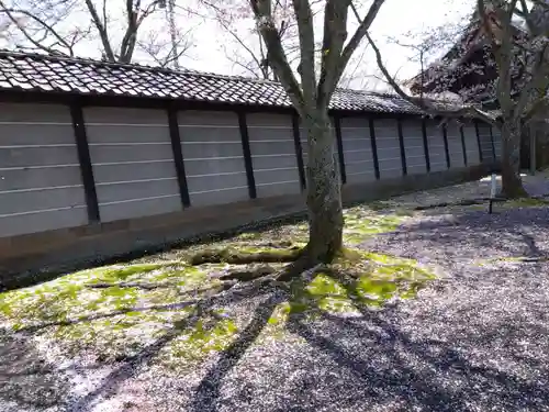 毫攝寺(福井県)