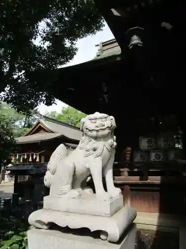 小倉祇園八坂神社の狛犬