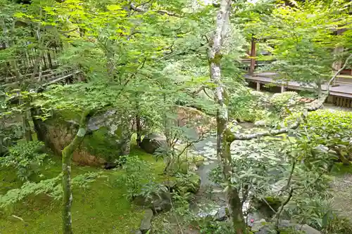 禅林寺（永観堂）(京都府)