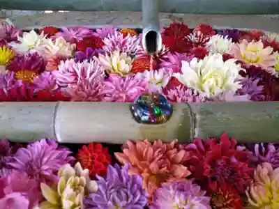 岡寺(龍蓋寺)(奈良県)