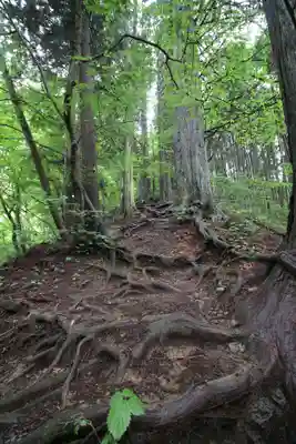 武蔵御嶽神社奥の院の自然