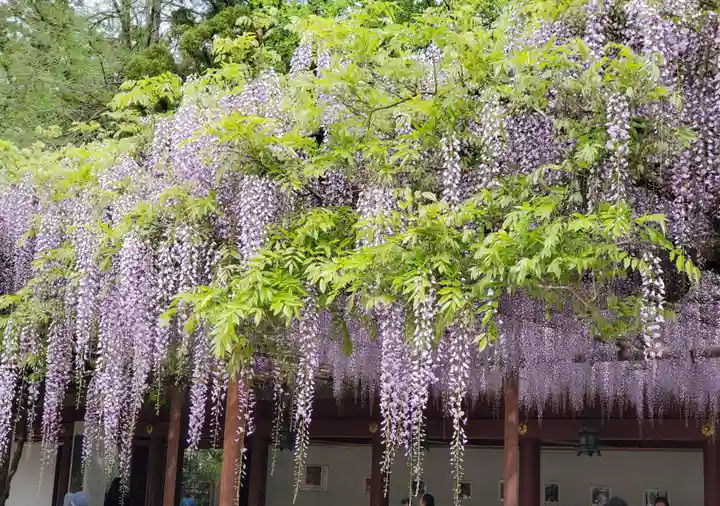 笠間稲荷神社(茨城県)