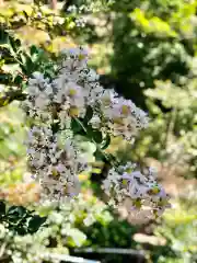 木舟山　順教寺の自然