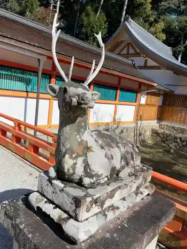 大原野神社の狛犬