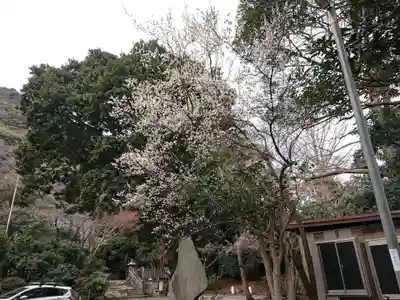 高來神社のその他建物