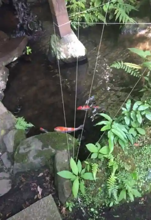 深澤銭洗弁財天の動物