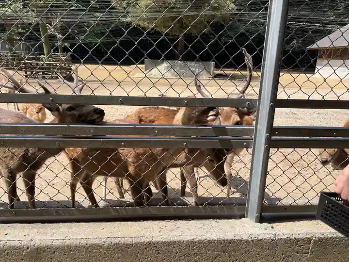 鹿島神宮(茨城県)